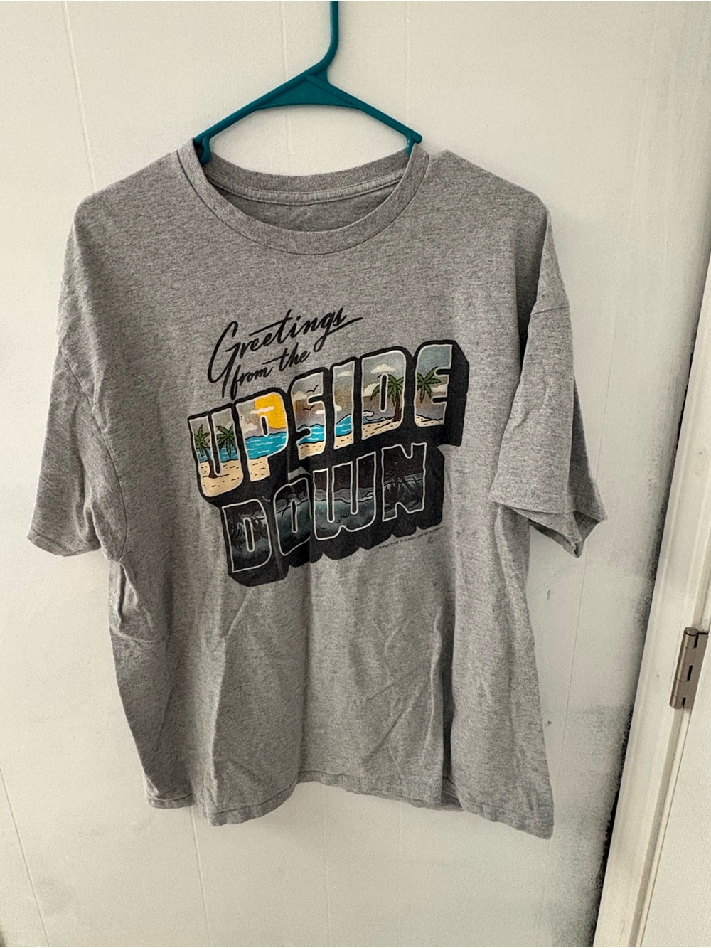 Grey 'Upside Down' Graphic Short Sleeve Tee